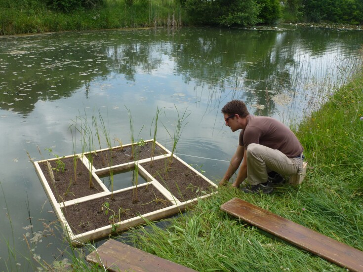 Die Firma Phoster entwickelt bepflanzte Schwimmplattformen mit Aquaponic-Filter. Die Pflanzen reinigen mit ihren Wurzeln das Wasser, binden Schwermetalle, liefern Sauerstoff und dienen als Biotop. Foto: zVg